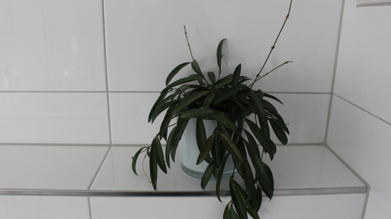Appartement Maria Egg Exterior foto